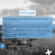 График выездов врачей мобильной медицинской бригады