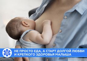 Рассказываем о грудном вскармливании.