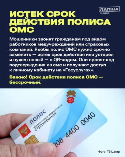 Лапша Медиа обучает фактчекингу в MAX.